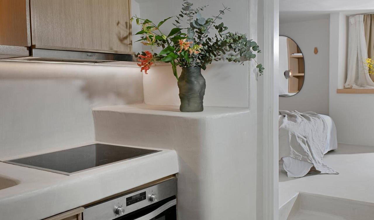 Vlia Mykonos Apartment Калафатис Екстериор снимка