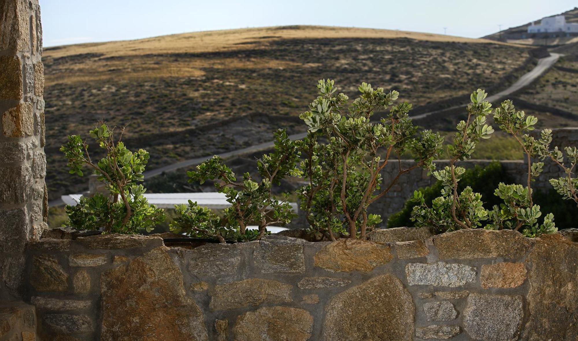 Vlia Mykonos Apartment Калафатис Екстериор снимка
